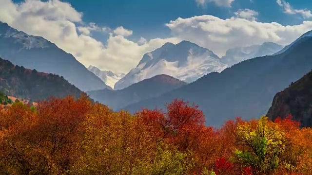 时光流逝的五彩秋色景观在山林中。视频素材