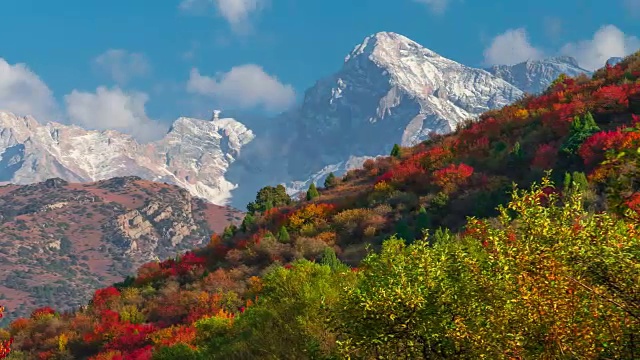 时光流逝的高山秋季景观与丰富多彩的森林和高峰视频素材