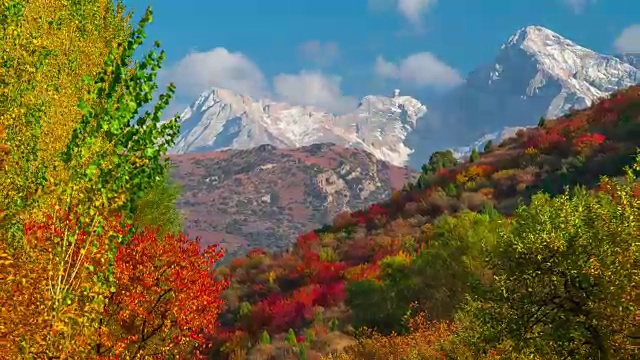 时光流逝的高山秋季景观与丰富多彩的森林和高峰视频素材