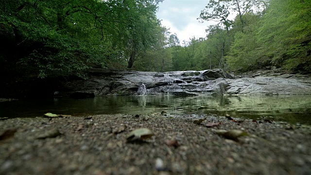 森林中的湖景- 4K分辨率视频素材