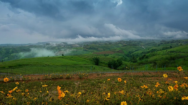 时间流逝:热带雨林晨雾，山地森林雾视频素材