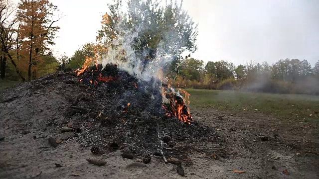 篝火在森林的空地上视频下载