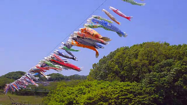 Koinobori(锦鲤形日本风筝)视频素材