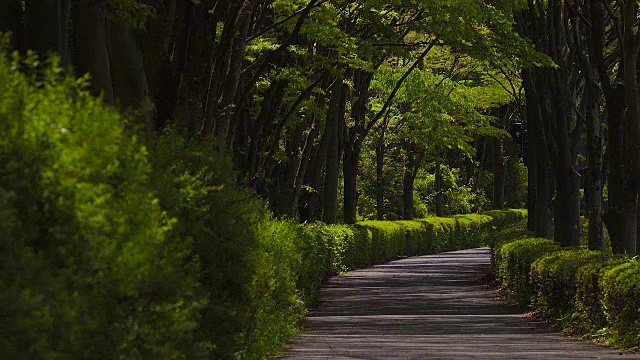 沿路走人行道视频素材