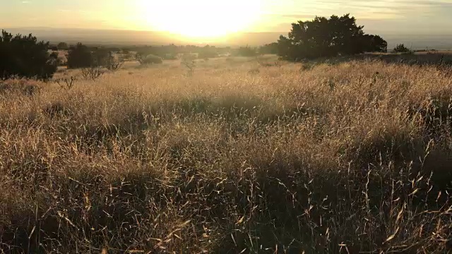 自然景观日落视频素材