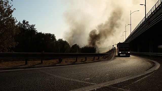 树林里起火了，消防员赶到扑灭大火视频素材