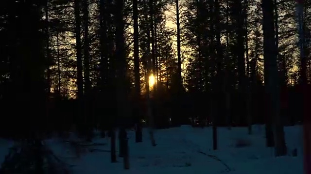 在金色的夕阳下，驾车穿过覆盖着积雪的冬季云杉森林视频素材