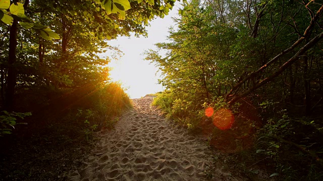 在日出的陡峭海岸，朗贝格，班辛，乌塞多姆，波罗的海，西波美拉尼亚，德国视频素材