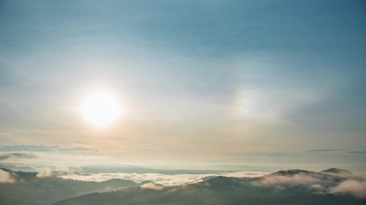 热带雨林的树木和太阳狗在天空视频素材