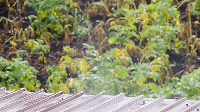 雨水滴落在屋顶上视频素材