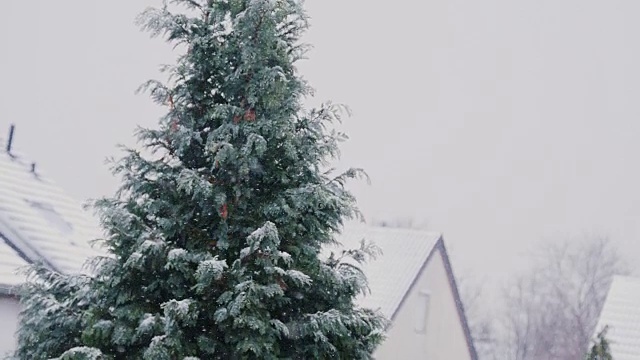 窗外飘落的雪花视频素材