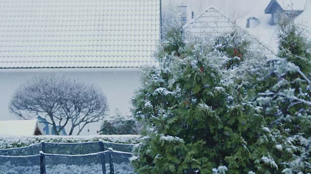 窗外飘落的雪花视频素材