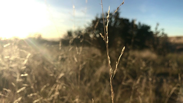 自然景观日落视频素材