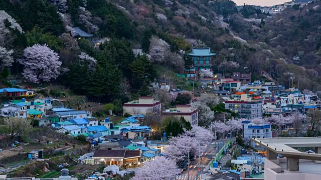 白天到晚上的住宅区和樱花在仙台洞视频素材