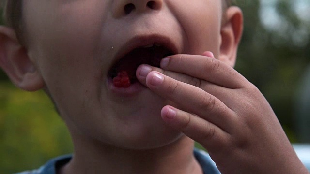 孩子在户外吃浆果视频素材