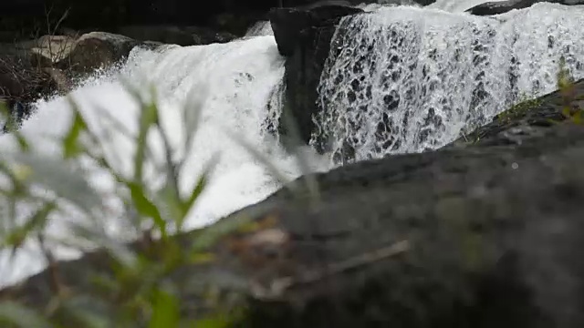 美丽的森林瀑布视频素材