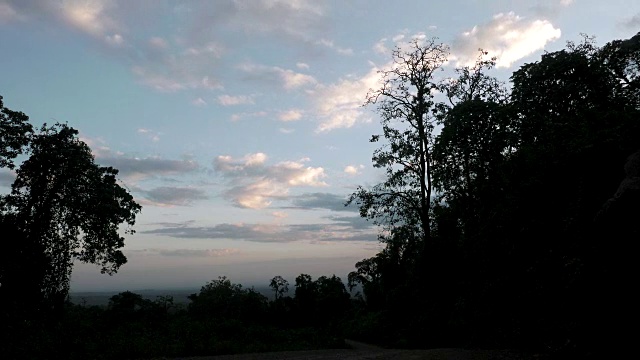 夕阳西下的天空衬托下树木的轮廓视频素材