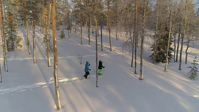 阳光明媚的冬天，一对游客夫妇穿着雪鞋探索冰雪覆盖的拉普兰森林视频素材