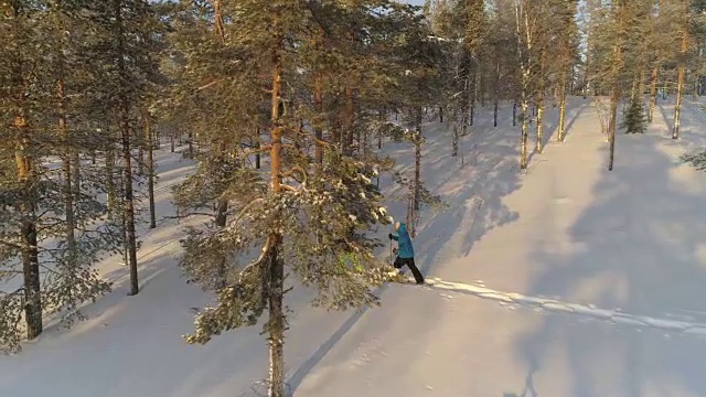 在阳光明媚的早晨，积极的游客们穿着雪鞋探索冰雪覆盖的拉普兰森林视频素材