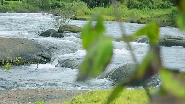 流动的河水视频素材