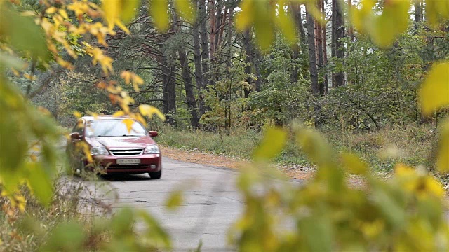 汽车穿过森林道路。视频素材