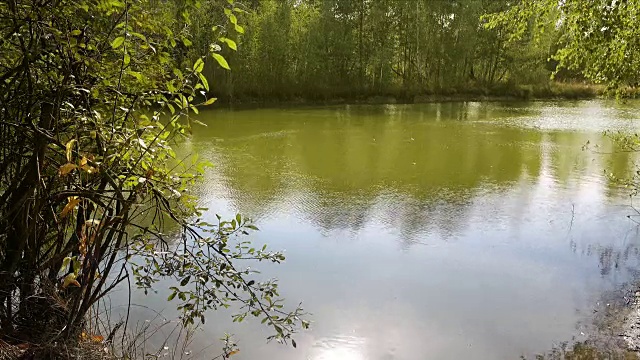 湖在阳光明媚的天气。反射视频素材