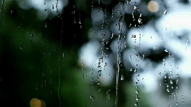 雨后滴在玻璃上的水滴视频素材