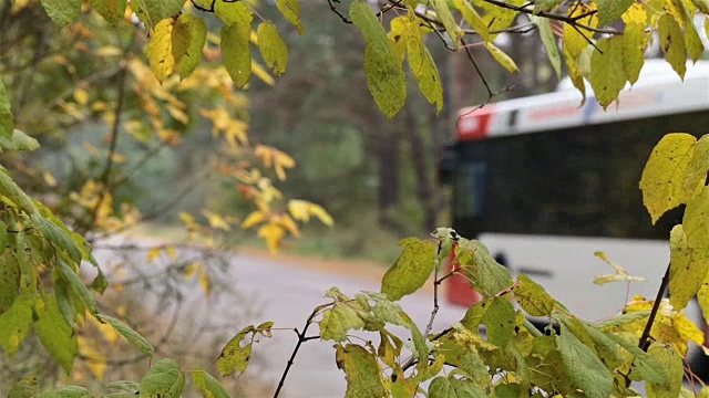 摩托车和公共汽车在森林道路上行驶。视频素材