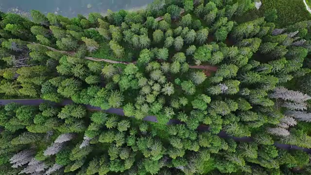 在斯洛伐克山区的森林和湖泊下飞行视频素材