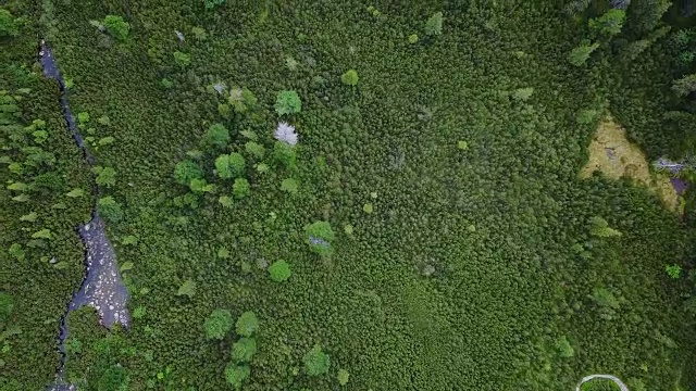 在斯洛伐克山区的森林和湖泊下飞行视频下载