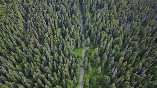 在斯洛伐克山区的森林里飞行视频下载