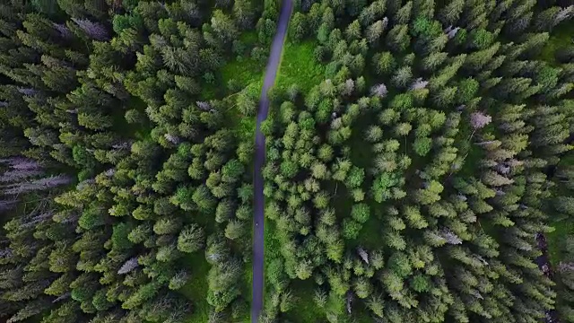 在斯洛伐克山区的森林里飞行视频素材