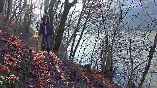 在森林中行走的徒步旅行者。徒步女性徒步穿越森林自然。Steadycam uhd股票视频视频素材