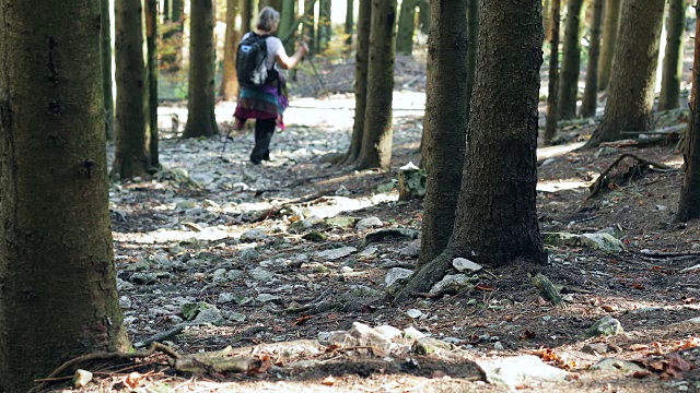 成熟的女人在森林里徒步旅行视频素材