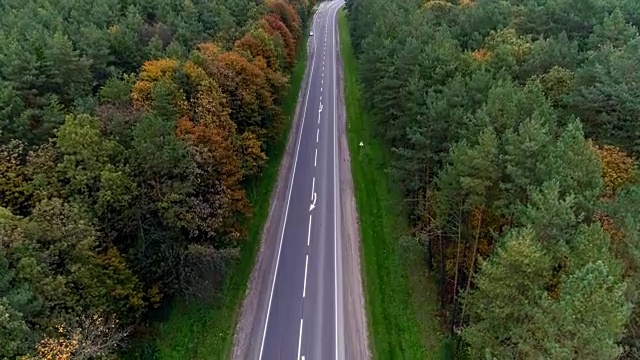 鸟瞰图的道路通过秋天的森林视频素材