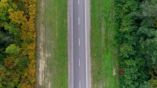 鸟瞰图的道路通过秋天的森林视频素材