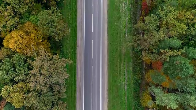 鸟瞰图的道路通过秋天的森林视频素材