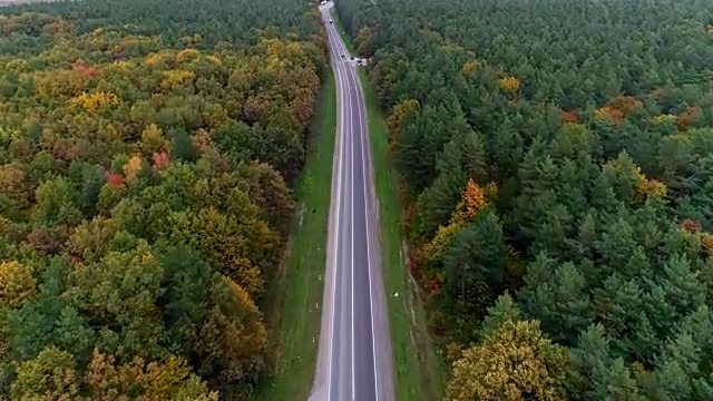 鸟瞰图的道路通过秋天的森林视频素材