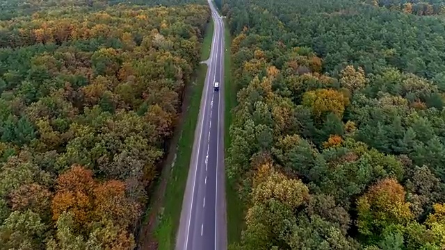 鸟瞰图的道路通过秋天的森林视频素材