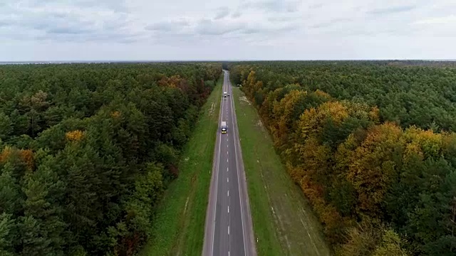 鸟瞰图的道路通过秋天的森林视频素材