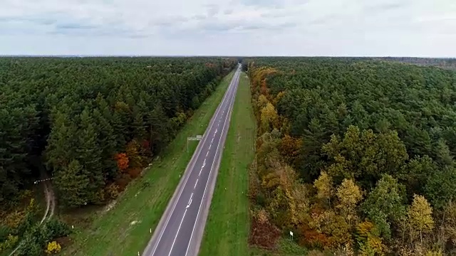 鸟瞰图的道路通过秋天的森林视频素材