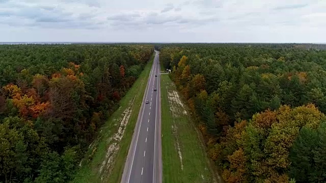 鸟瞰图的道路通过秋天的森林视频素材