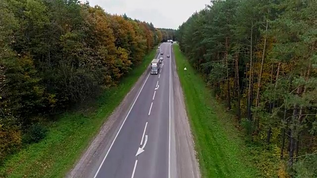 鸟瞰图的道路通过秋天的森林视频素材