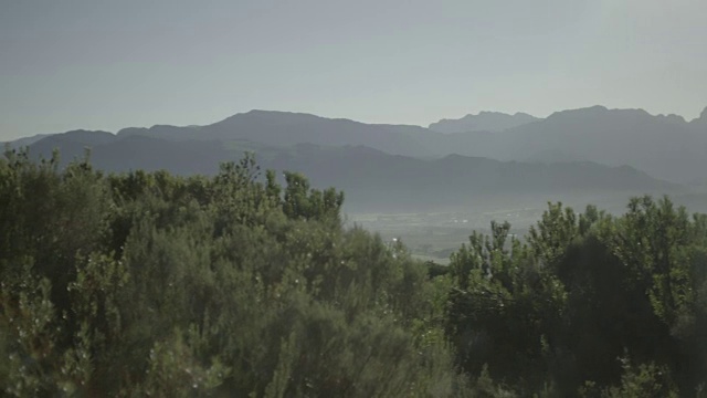 以山脉为背景，以芬博斯为前景的Franschhoek山谷的清晨镜头/西开普/南非视频素材