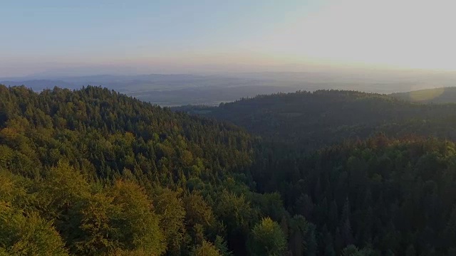 波兰山区夏季的鸟瞰图。松树林和蓝天白云。从以上观点。视频素材