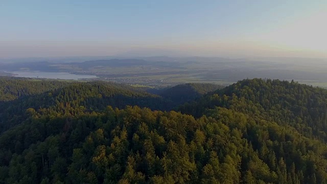 波兰山区夏季的鸟瞰图。松树林和蓝天白云。从以上观点。视频素材