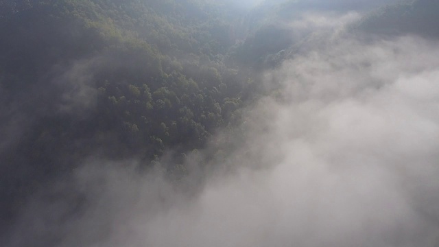 景观模糊全景。梦幻般的日出在岩石山与视野到雾气蒙蒙的山谷下面。福雷斯特上空雾蒙蒙的云。观赏下面的仙景。多雾的森林山。从以上观点。视频素材