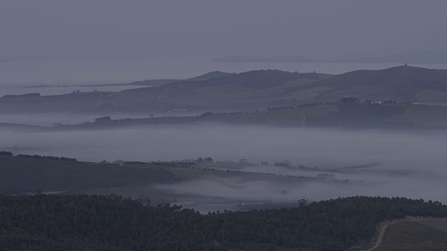 清晨雾气蒙蒙的Stellenbosch山谷，以山脉为背景，以Fynbos为前景/西开普/南非视频素材