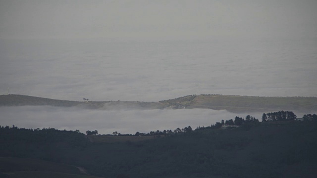 清晨雾气蒙蒙的Franschhoek山谷和Fynbos在前景/西开普/南非视频素材