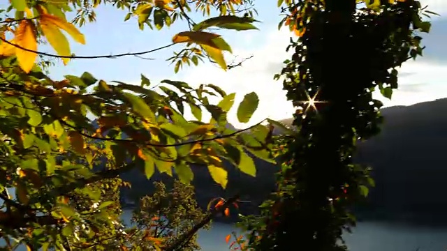 一对成熟的夫妇徒步到山上的湖上去欣赏风景视频素材